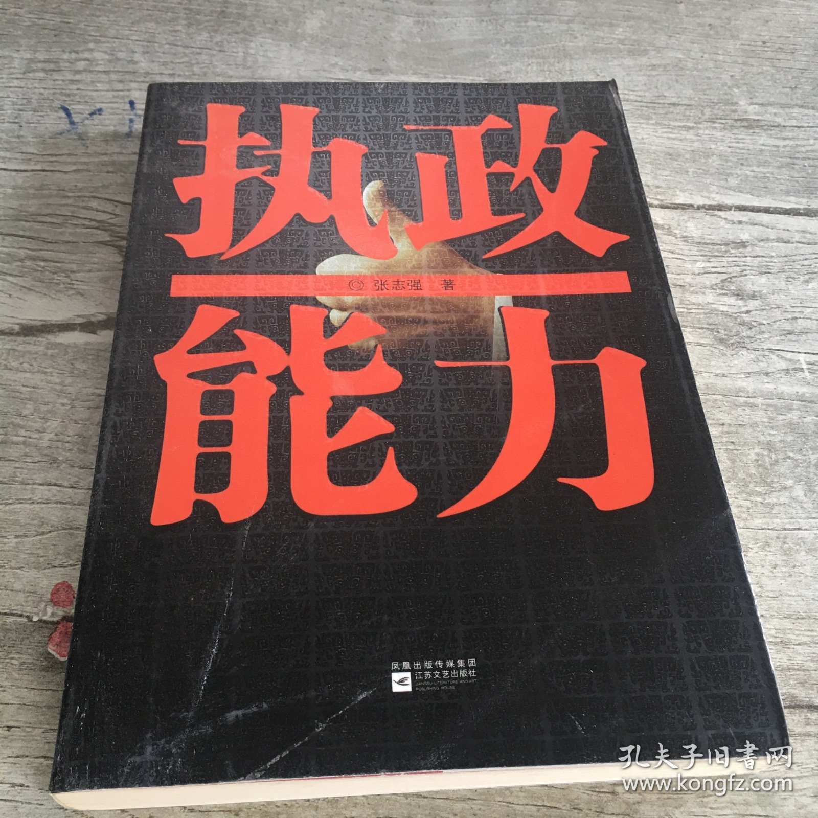 执政能力