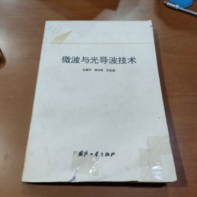 微波与光导波技术