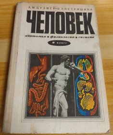 人体