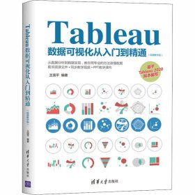 Tableau数据可视化从入门到精通（视频教学版）