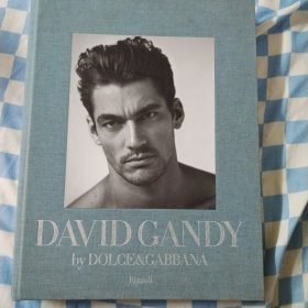 David Gandy by Dolce & Gabbana 大卫.甘迪写真集