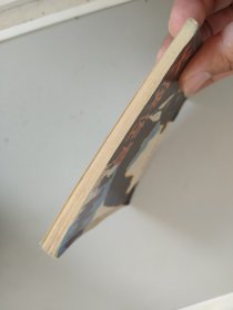 连环画：义侠佐罗