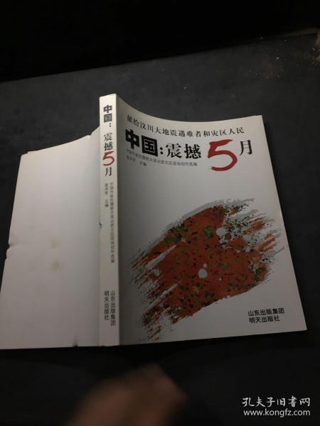 中国：震撼5月:2008抗震救灾诗集