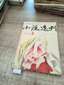 小说选刊1987年第3斯