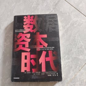 数据资本时代