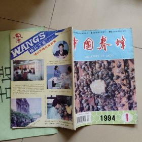 中国养蜂 1994年1-6