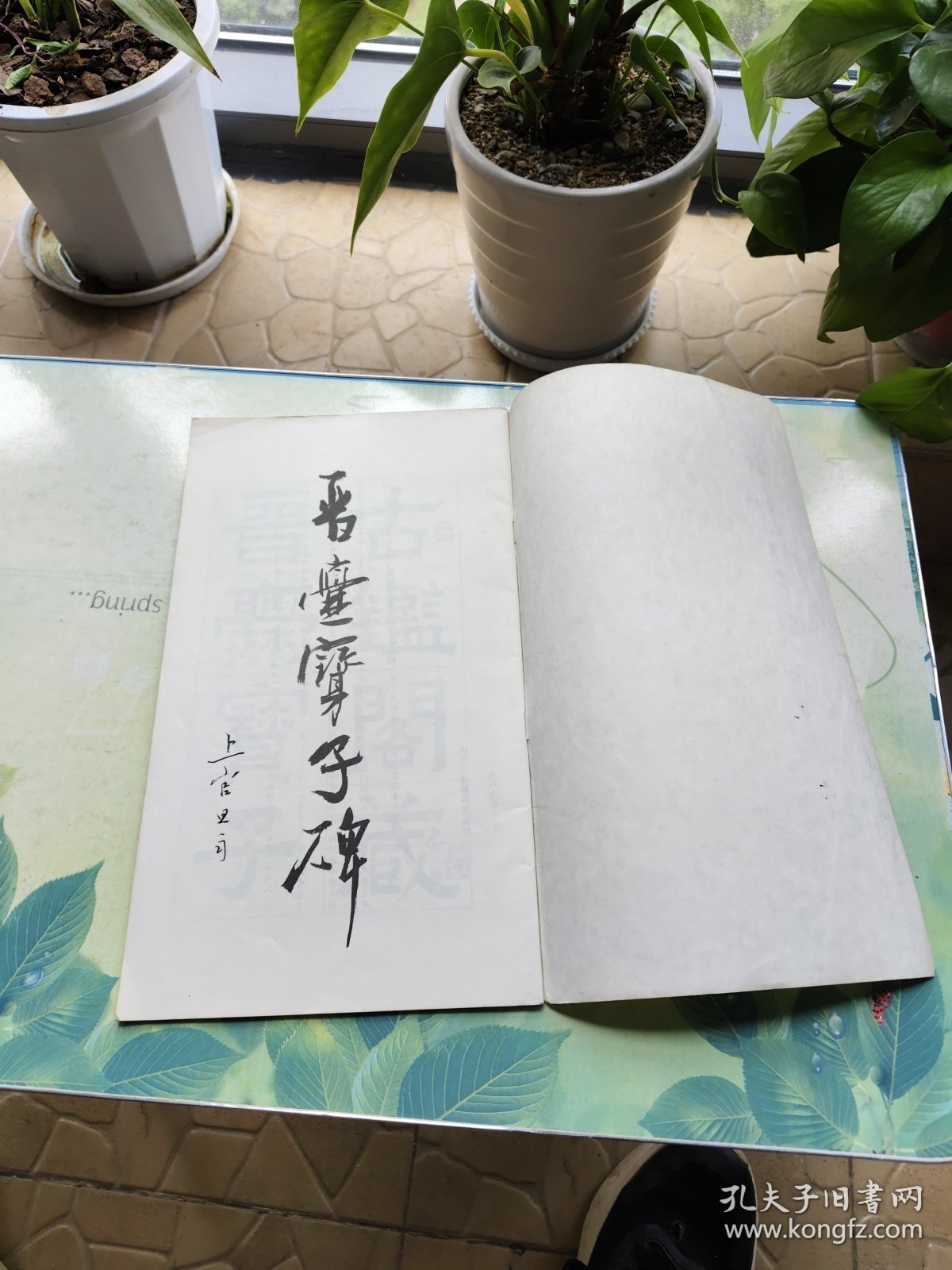 晋-爨宝子碑