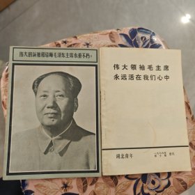 湖北青年杂志 1976年第十期（含增刊），如图所示2本合售 32开