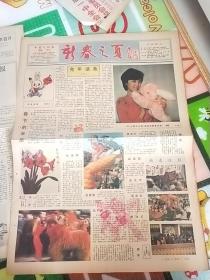 中国文化报1987年1月18日（加一张新春之页特刊）