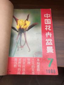 中国花卉盆景 1988 7-12合订