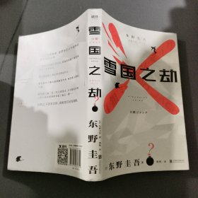 东野圭吾·雪国之劫（奠定东野圭吾“畅销之王”地位作品，畅销悬疑系列）