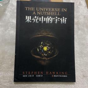 果壳中的宇宙