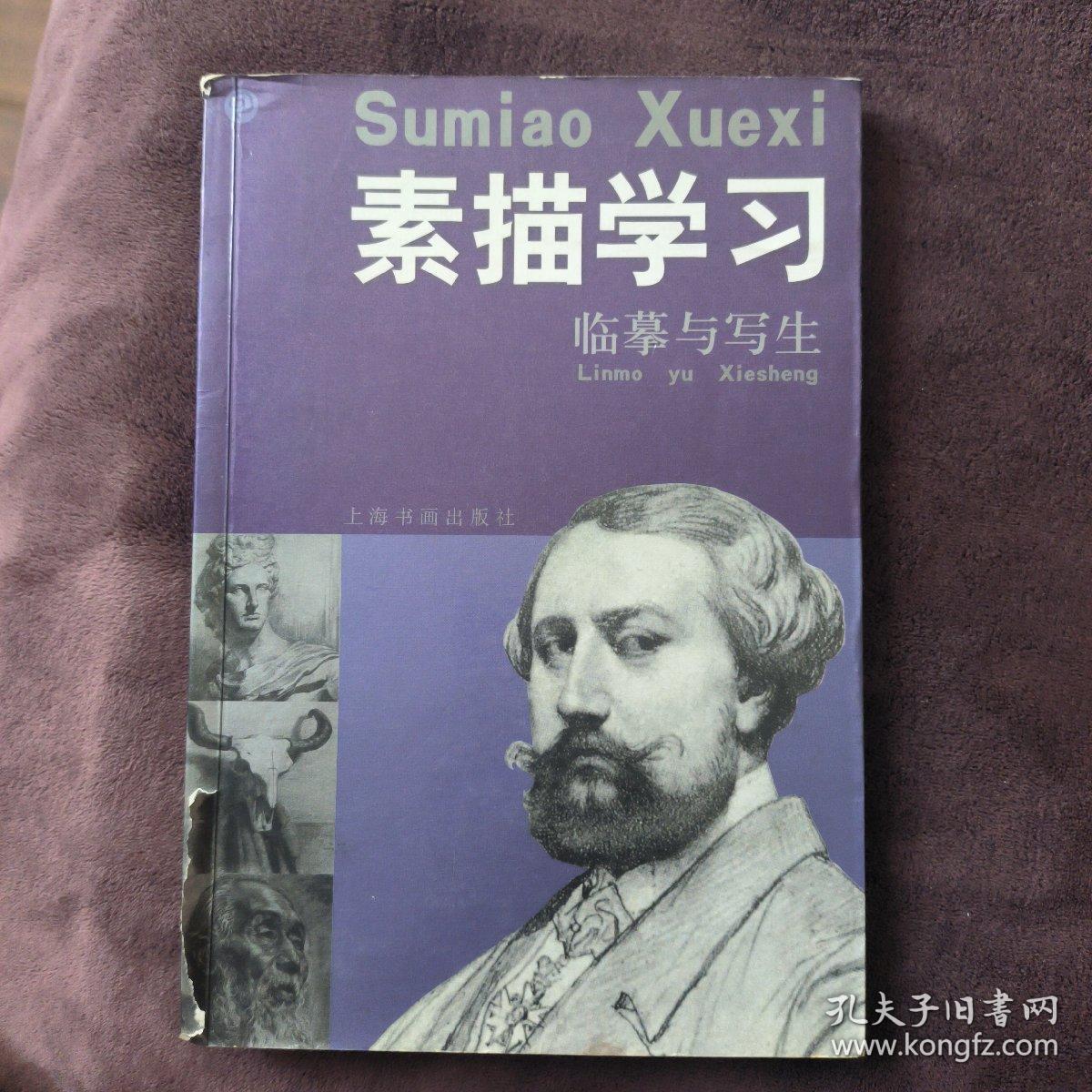 素描学习：临摹与写生