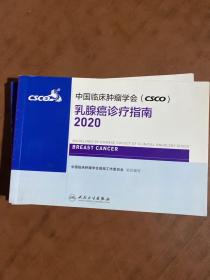 中国临床肿瘤学会（CSCO）乳腺癌诊疗指南2020