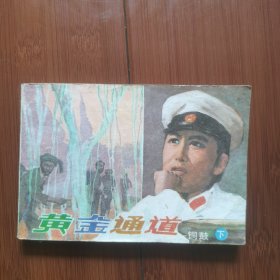 电视剧版连环画：黄金通道一一铜鼓（下）