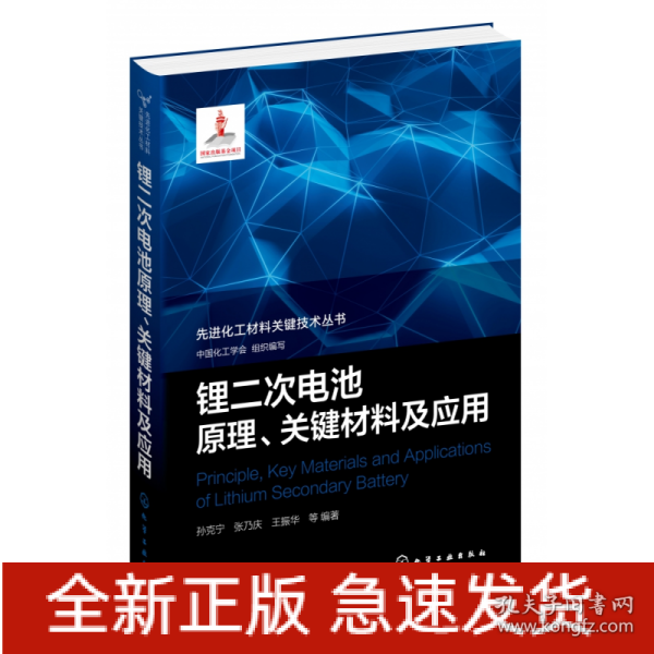 先进化工材料关键技术丛书--锂二次电池原理、关键材料及应用