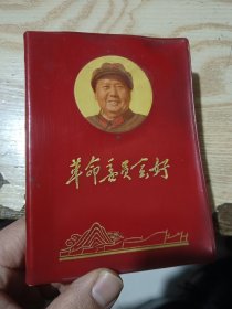 革命委员会好