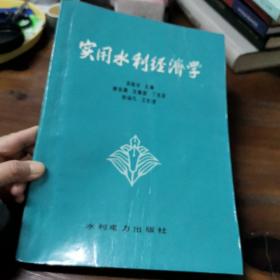 实用水利经济学