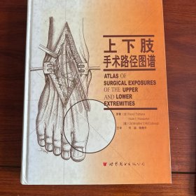上下肢手术路径图谱