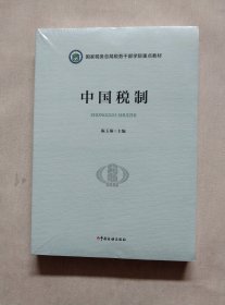中国税制