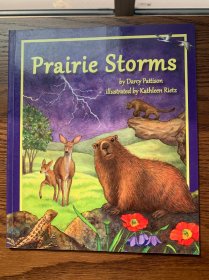 Prairie Storms