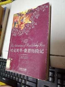 哈克贝利·费恩历险记