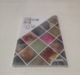 下消化道内镜诊断图谱