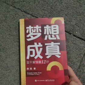 梦想成真 实干家锦囊12计