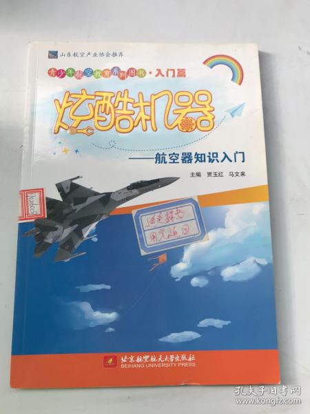 青少年航空教育系列图书·入门篇·炫酷机器：航空器知识入门