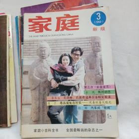 九十年代通俗杂志10本合售【笑话集、新潮、特号二室疑案、家庭、金岛、大千世界、鹃花、红灯区里的少女、洞房幽默故事、野性婚配]