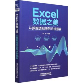 Excel数据之美：从数据透视表到分析报告