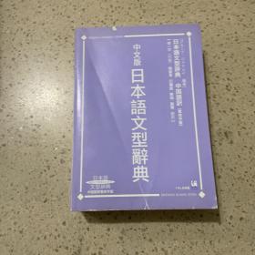 中文版 日本语文型辞典
