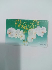 日本废旧电话卡6