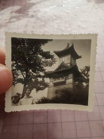 1966年四川医学院钟楼美女留影老照片相片像片