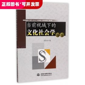 *当前视域下的文化社会学探究