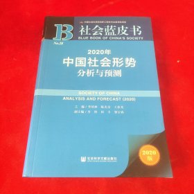 社会蓝皮书：2020年中国社会形势分析与预测