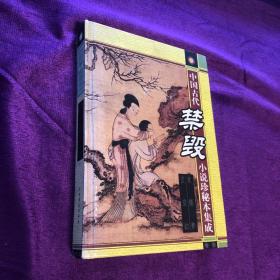 中国古代禁毁小说珍秘本集成 青楼梦 空空幻