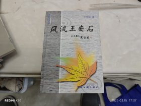 風(fēng)流王安石
