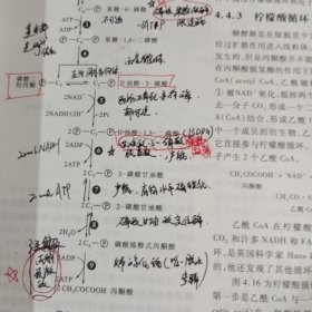 陈阅增普通生物学（第4版）有笔记.1千克