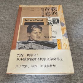 我的青春之城