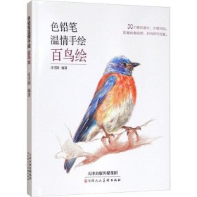 色铅笔温情手绘 百鸟绘