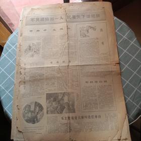 河南日报（1972 1 31）3－4版