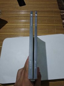 江苏磊峰2017首届艺术品拍卖会承古观今近现代书画专场十墨彩飞扬江苏当代书画专场共2本大16开彩陈大羽之佛傅抱石高马得郭沫若李苦禅亚林散之刘海粟武中奇徐悲鸿潘天寿吕凤子尉天迟薛亮徐建明利明萧平朱新建