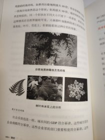 跃迁 成为高手的技术