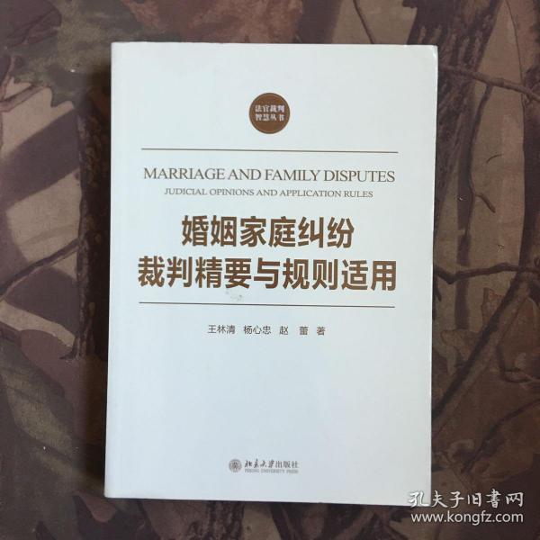 法官裁判智慧丛书：婚姻家庭纠纷裁判精要与规则适用