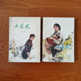 山菊花（全套）
