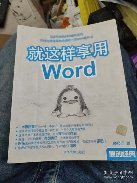 就这样享用Word