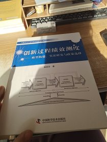 创新过程绩效测度-模型构建、实证研究与政策选择