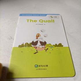 斑马AI课    the  quail