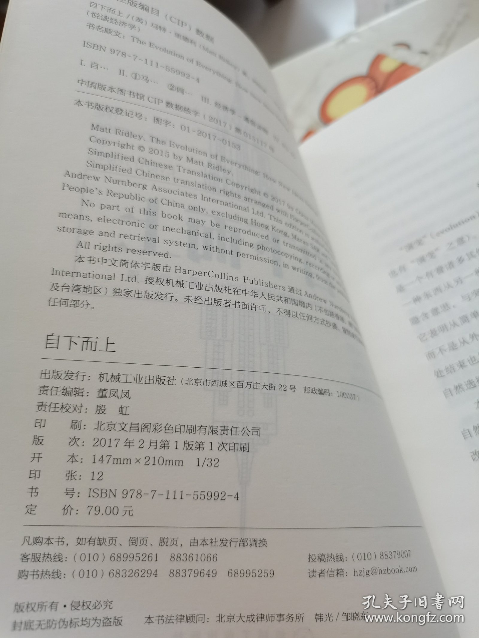 自下而上:万物进化简史